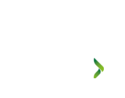 DreamHack Summer Fuarı