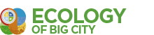 Ecology of Big City
