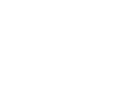 HiFi & High End Show