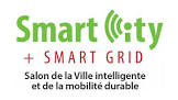 Smart City + Smart Grid