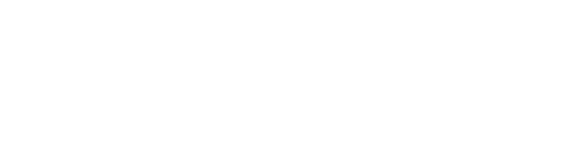 the Vision Show